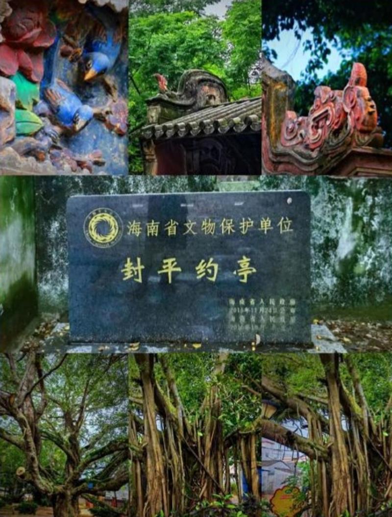 1781176968707322.jpg 图片9.jpg