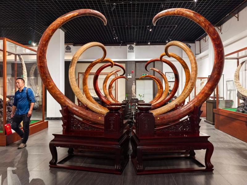 1786589538418386.jpg 图片1(1).jpg