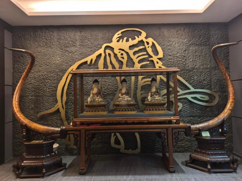 1786589635279000.jpg 图片2.jpg