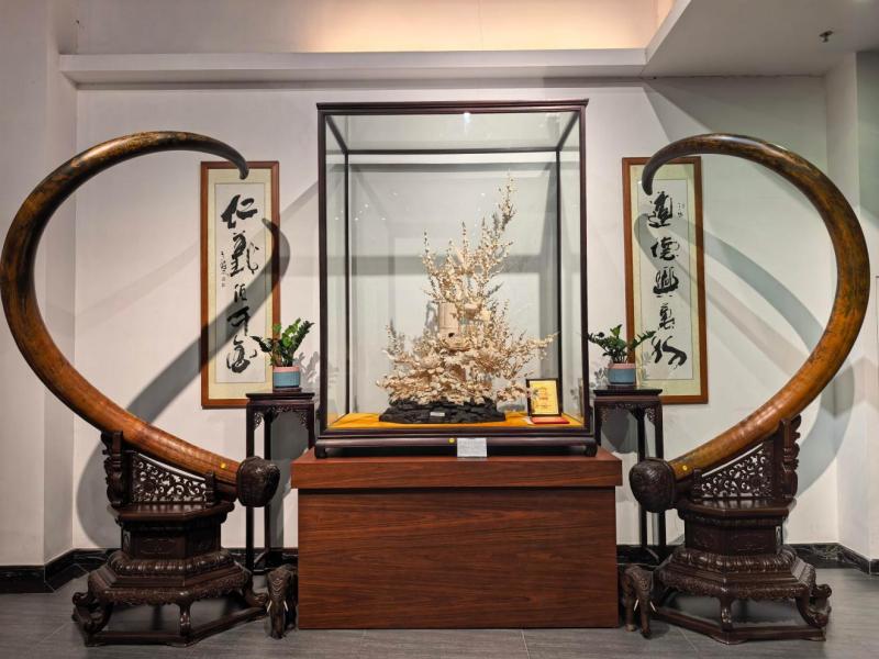 1786589879553701.jpg 图片5.jpg