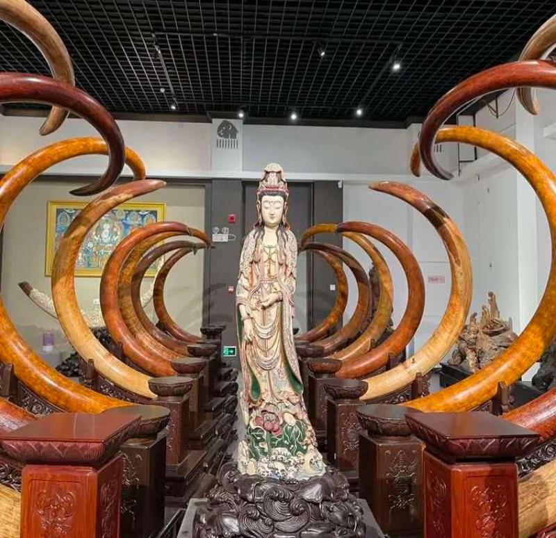1786592899975561.jpg 微信图片_20260813104805_8_529(1).jpg